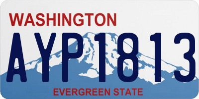 WA license plate AYP1813