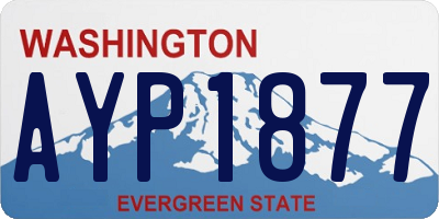 WA license plate AYP1877