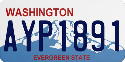 WA license plate AYP1891