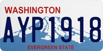 WA license plate AYP1918