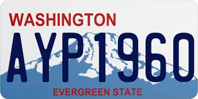 WA license plate AYP1960