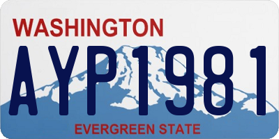 WA license plate AYP1981
