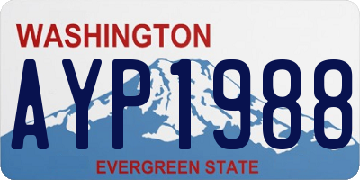 WA license plate AYP1988