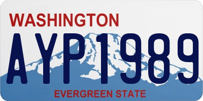 WA license plate AYP1989
