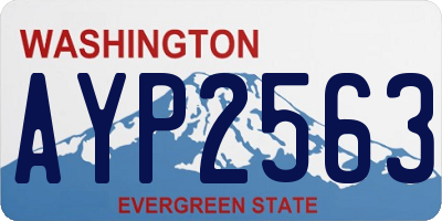 WA license plate AYP2563