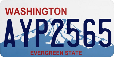 WA license plate AYP2565