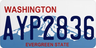 WA license plate AYP2836