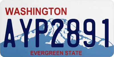 WA license plate AYP2891