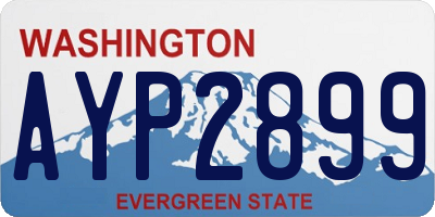 WA license plate AYP2899