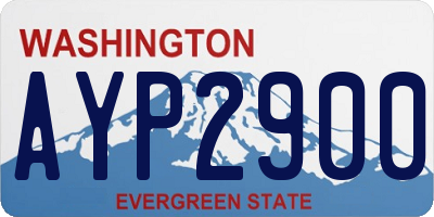 WA license plate AYP2900