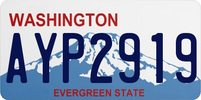 WA license plate AYP2919