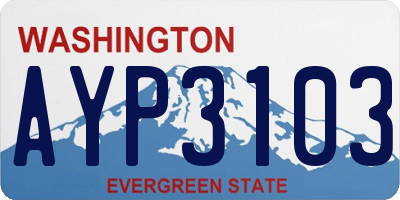WA license plate AYP3103