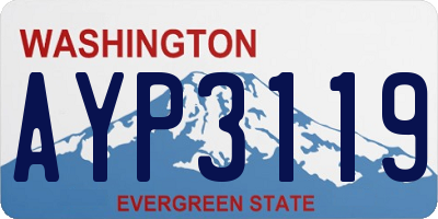 WA license plate AYP3119