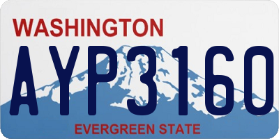 WA license plate AYP3160