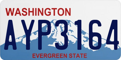 WA license plate AYP3164