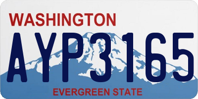 WA license plate AYP3165