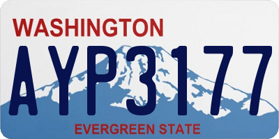 WA license plate AYP3177