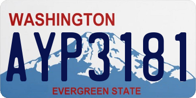 WA license plate AYP3181