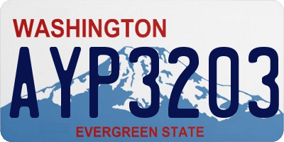 WA license plate AYP3203