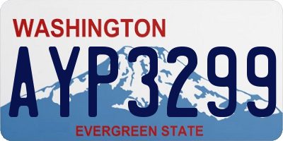 WA license plate AYP3299