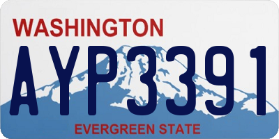 WA license plate AYP3391