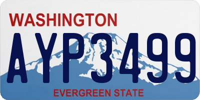 WA license plate AYP3499