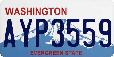 WA license plate AYP3559