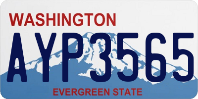 WA license plate AYP3565