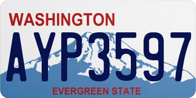 WA license plate AYP3597