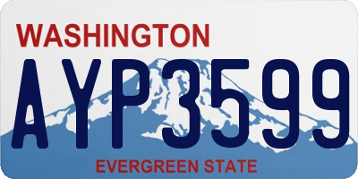 WA license plate AYP3599