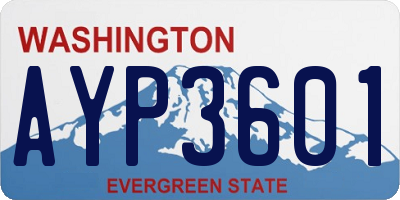 WA license plate AYP3601