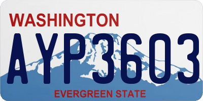 WA license plate AYP3603