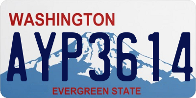 WA license plate AYP3614