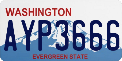 WA license plate AYP3666