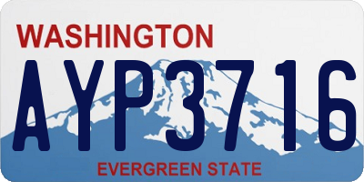 WA license plate AYP3716