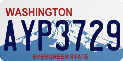 WA license plate AYP3729
