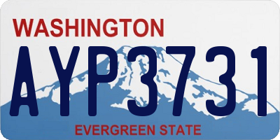 WA license plate AYP3731