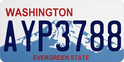 WA license plate AYP3788