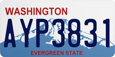WA license plate AYP3831