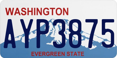 WA license plate AYP3875