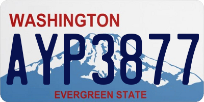 WA license plate AYP3877