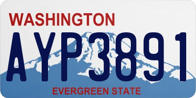 WA license plate AYP3891