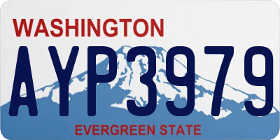 WA license plate AYP3979