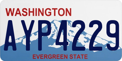 WA license plate AYP4229