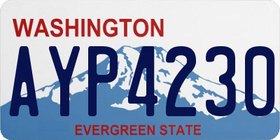 WA license plate AYP4230