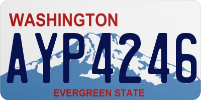WA license plate AYP4246