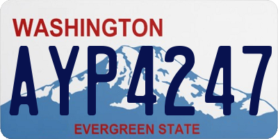 WA license plate AYP4247