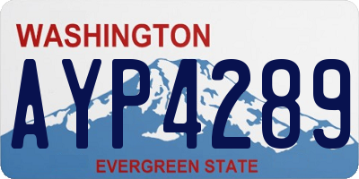 WA license plate AYP4289