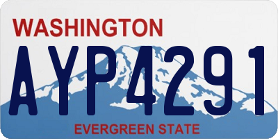 WA license plate AYP4291
