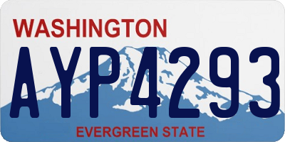 WA license plate AYP4293
